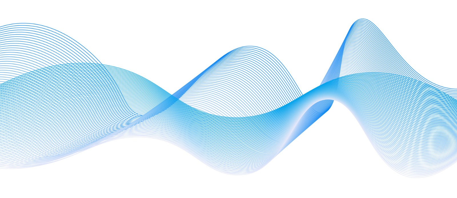 WhatsApp Image 2024-03-25 at 1.37.32 PM.jpeg